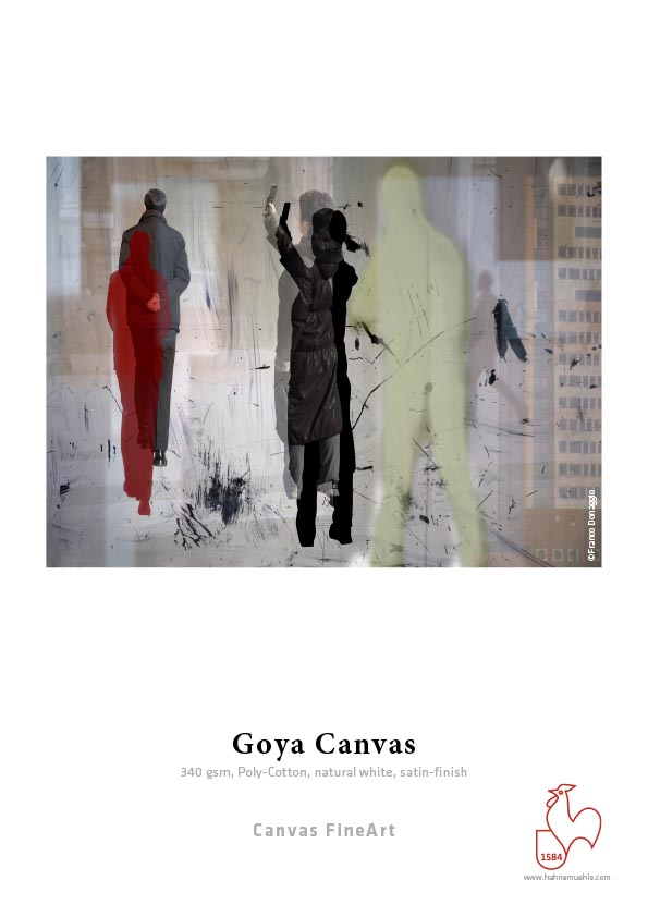 Hahnemhle DFA Goya Canvas 340gsm